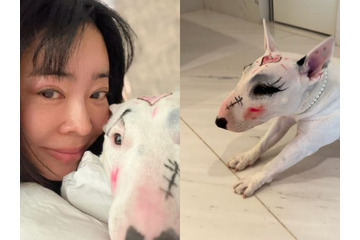 愛犬への“落書き”に「動物虐待」「正気かよ」とドン引きの声も…韓国女性歌手のSNS投稿が物議 画像