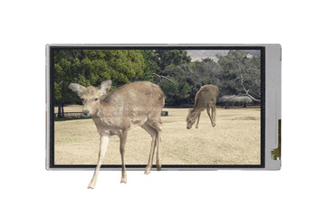 シャープ、携帯電話やデジカメ向けの3Dカメラモジュールを開発  画像