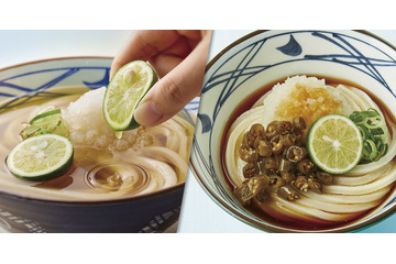 丸亀製麺、夏季限定「鬼おろしシリーズ」6月2日から販売！「冷やし明太クリームうどん」も新発売 画像