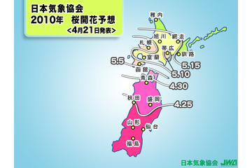 GW中は桜真っ盛り! 弘前市で4月27日、津軽海峡渡って札幌市5月8日開花 画像