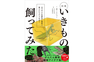 登録者46万人超の生き物系YouTuber・森こんにゃくの初書籍が発売！Amazonランキング1位獲得 画像
