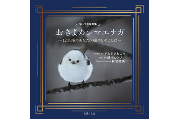 シマエナガ写真と12星座占いが一冊に、主婦の友社が11月2日発売 画像