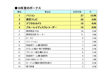 今夏ボーナスのデジタル家電商戦、人気の薄型テレビから首位を奪った製品は？ 画像