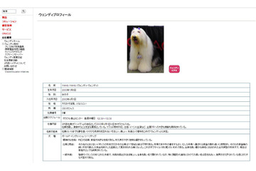 日本オラクルの“社員犬”ウェンディが死去 画像