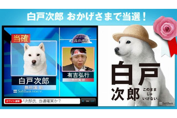 「白戸次郎、おかげさまで当選!」…ソフトバンクのお父さん犬、いち早く当確に名乗り 画像