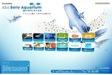 沖縄の海が銀座に!本日から「43rd Sony Aquarium」 画像