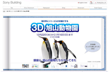 野生に近い動物の姿を大画面3Dで!……3D旭山動物園が銀座ソニービルで今日から開催 画像