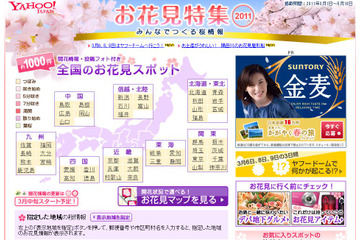 全国約1000ヵ所の開花状況が毎日更新、Yahoo! JAPAN「お花見特集2011」 画像