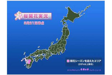 “春まだ遠し”桜の開花遅れ気味、上野公園も1週間遅れの30日開花予想 画像