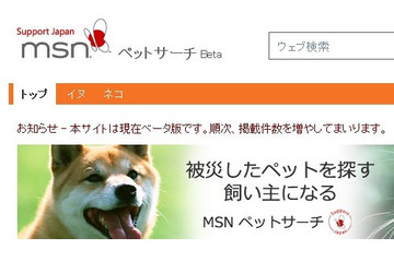 【地震】日本マイクロソフト、被災したペットを助ける「MSNペットサーチ」公開 画像