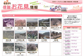 長野県、新潟県の桜スポットをライブカメラでチェック「2011信越お花見情報」 画像