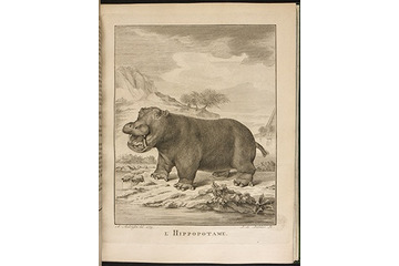 大英図書館とGoogleが提携、25万冊の蔵書をすべてデジタル化 画像