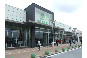 高速道路やサービスエリアでも節電対策！照明消灯など 画像