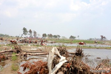 【地震】日本損害保険協会、東日本大震災の地震保険支払額を発表 画像