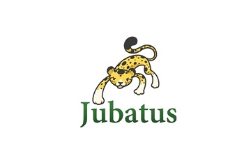 NTTとPFI社、ビッグデータのリアルタイム処理を可能にする新技術「Jubatus」を開発 画像