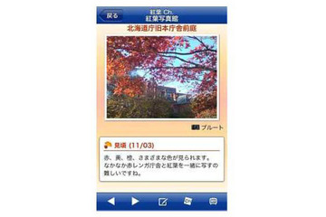 ウェザーニューズ、「紅葉ch.」をスタート! 画像