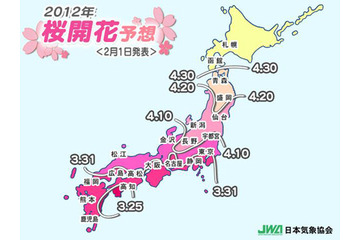 桜の開花、平年より遅いか平年並み……日本気象協会 画像