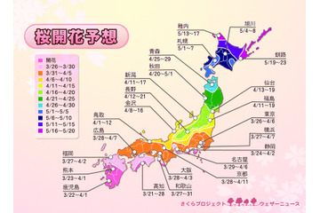 都心の桜が今週末開花、来週末には満開に！……ウェザーニューズ、第四回開花予想発表 画像