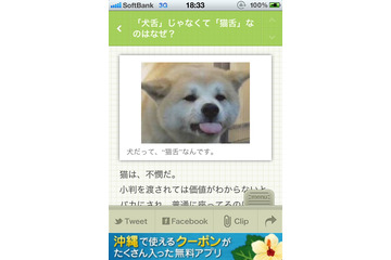 なぜ「犬舌」じゃなく「猫舌」?……無料iPhoneアプリ「巷のB級ニュースを毎日配信!『Excite Bit コネタ』」 画像