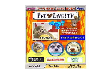 かわいい動物たちの様子をSo-net TVがライブ配信〜ミーアキャット、フェレット、コモンリスザル、etc. 画像