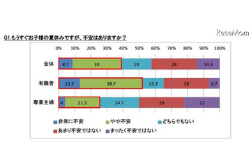 小1の母親、有職者の52％が「子どもの夏休みが不安」 画像