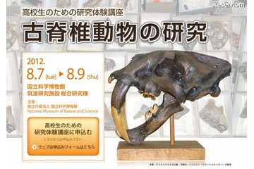 【夏休み】脊椎動物の化石の研究法を学ぶ 画像
