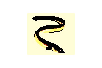 うなぎが高い!! ……土用の丑の日に関する調査 画像