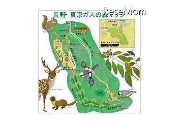 体験型環境スクール、森の生きものを大調査 10月20日 画像