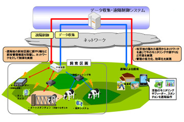 NTT西日本と九大、ICTを活用した牛放牧における遠隔地管理システムを共同研究 画像