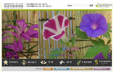 植物と昆虫の不思議な関係を学ぶ　9月15-23日 画像
