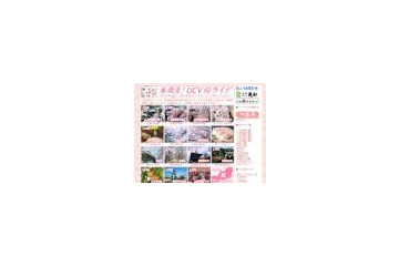 上田ケーブルビジョン、Google Mapsと組み合わせた桜ライブ 画像