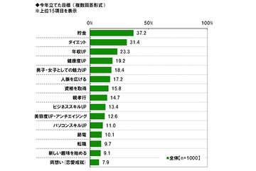 ビジネスパーソンの2012年の反省と2013年の目標……調査 画像