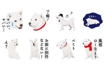 LINEスタンプに白戸家のお父さん&ファミマ公式キャラ 画像