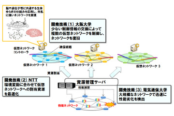 NTTら、生物の「ゆらぎ」を仮想ネットの制御に適用……大規模災害でも早期復旧 画像