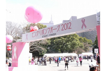 アートネイチャー、「ピンクリボンウオーク2013」に協賛 画像