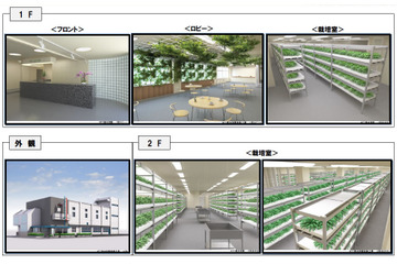 NTT西、水耕栽培によるレンタル農園「みえーるエコ畑」を開園 画像