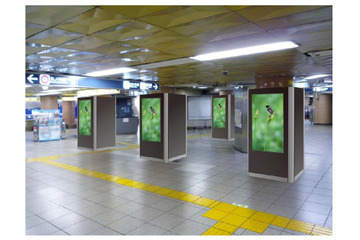 東京メトロ、駅コンコースデジタルサイネージを初導入……銀座、表参道、新橋、秋葉原でスタート 画像