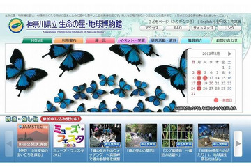 【春休み】生命の星・地球博物館で子ども自然科学作品展 画像