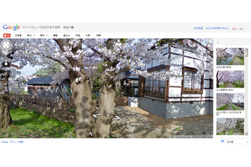 花見シーズン真っ只中、最新桜スポット50か所を紹介……「ストリートビューでめぐる日本の名所」が更新 画像