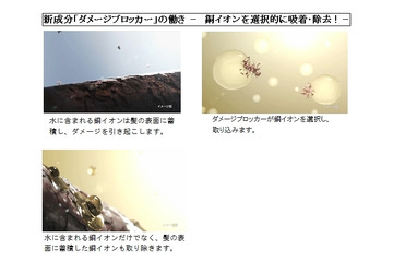 パンテーンが発見、「水」に潜む髪へのダメージ要因とは? 画像