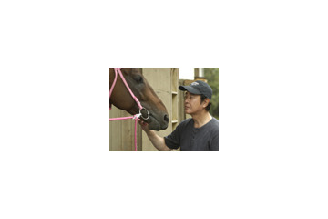 勝利を目指して走り続けた負け馬「ハルウララ」の生涯を描いた感動作 画像