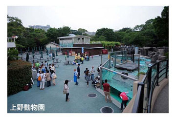上野動物園など4園、障害をもつ子どもとその家族を閉園後に招待 6月8日 画像