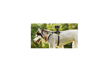 犬目線の撮影も可能! ソニー、サーフボードマウントなどアクションカメラ用アクセサリ8製品 画像
