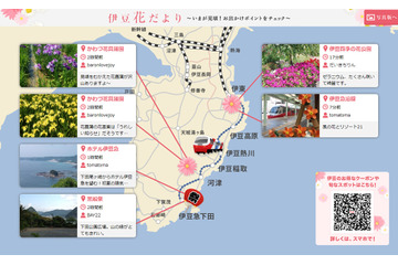 NTTと伊豆急グループ、観光客を支援するO2Oサービス「伊豆花だより」開始 画像