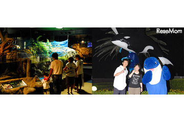 【夏休み】夜の水族館を探検する「ナイトアドベンチャー」 画像