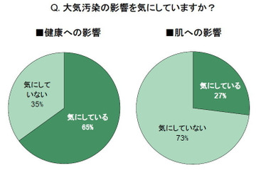 大気汚染、「肌」への影響を気にしている女性は2割台……対策ポイントは「日々の洗顔」 画像