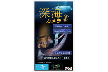 NHK、ダイオウイカと一緒に写真が撮れるARアプリ『深海カメラ』 画像