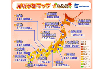 今年の紅葉、昨年より色づき鮮やかで見頃時期は例年並み 画像