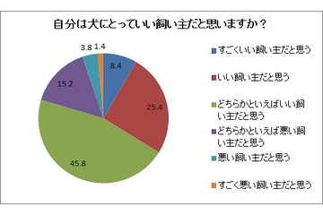 「自分は良い飼い主」は勘違い？……「犬の食事代は1日200円未満」9割 画像