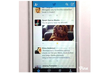 Twitterモバイルアプリ、写真/Vineのプレビュー表示に対応 画像